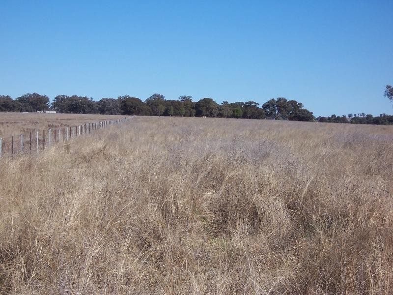 . Burrendong Way, Mumbil NSW 2820