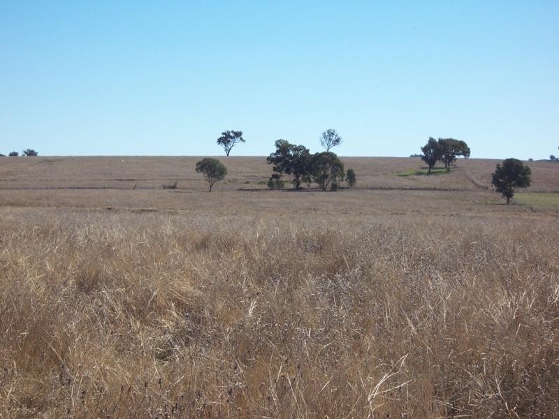 . Burrendong Way, Mumbil NSW 2820