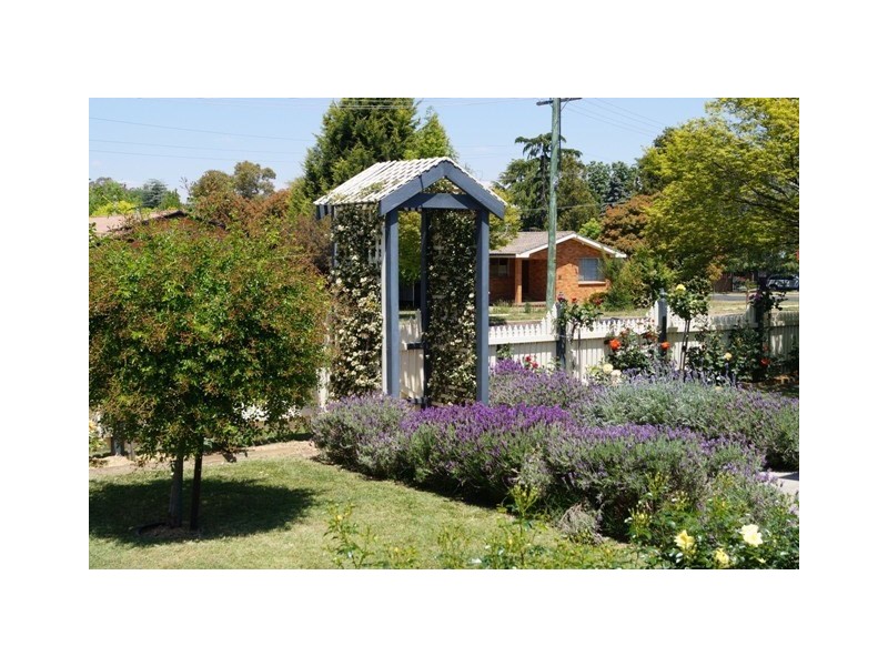 1 Tynan Street, Orange NSW 2800