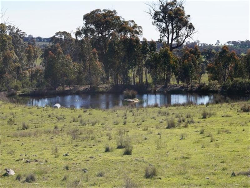 197 Belgravia Road, Mullion Creek NSW 2800