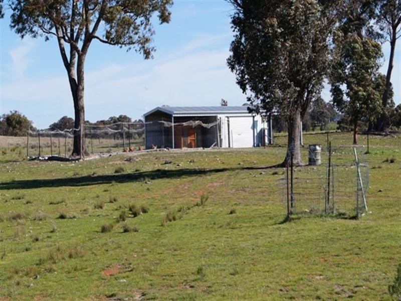 197 Belgravia Road, Mullion Creek NSW 2800