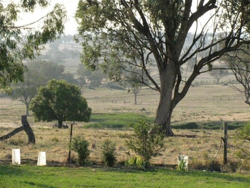2472 Mitchell Highway, Orange NSW 2800