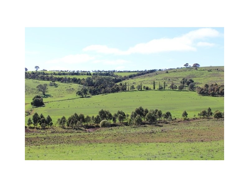 Lot 6 Emu Swamp Road, Lucknow NSW 2800