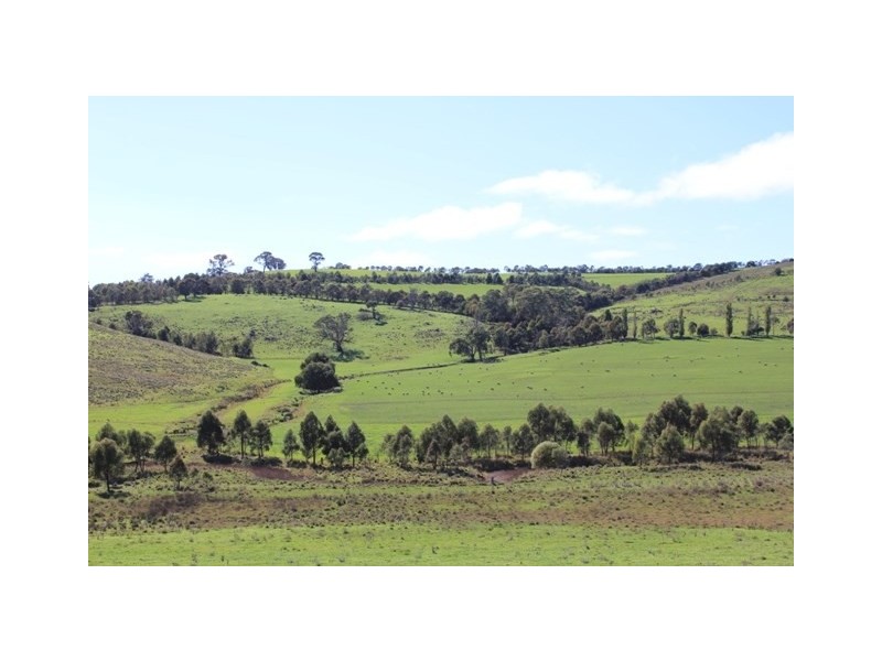 Lot 6 Emu Swamp Road, Lucknow NSW 2800