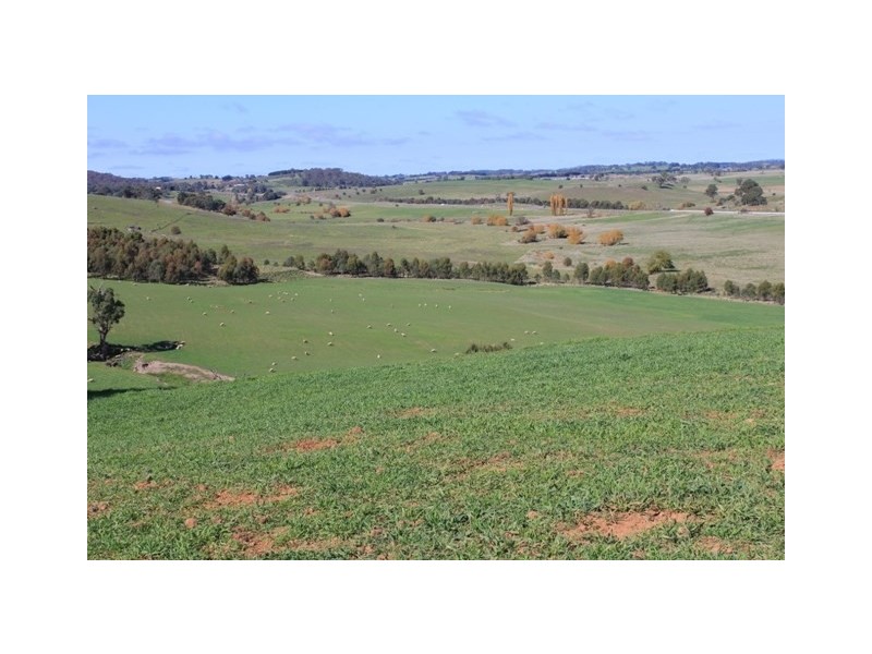 Lot 6 Emu Swamp Road, Lucknow NSW 2800