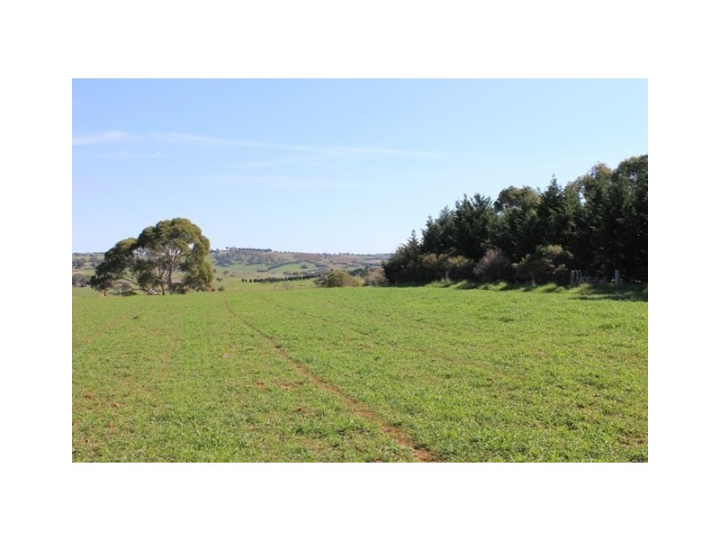 Lot 6 Emu Swamp Road, Lucknow NSW 2800