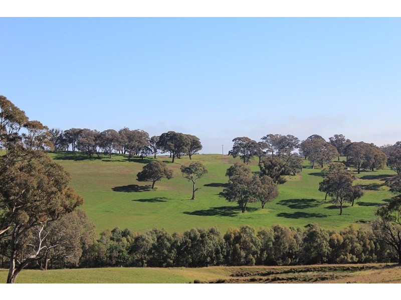 178 Emu Swamp Road, Orange NSW 2800