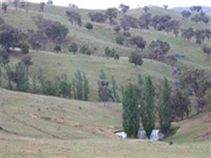 Belmore 2345 Ophir Road, Orange NSW 2800