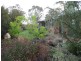 Belmore 2345 Ophir Road, Orange NSW 2800