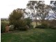Belmore 2345 Ophir Road, Orange NSW 2800