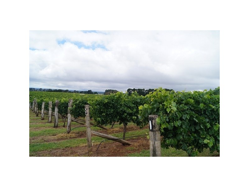 9 Wise Road, Springside NSW 2800