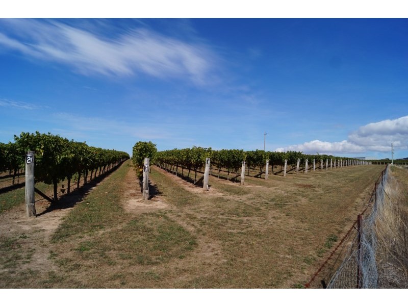 9 Wise Road, Springside NSW 2800