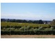 9 Wise Road, Springside NSW 2800