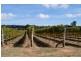 9 Wise Road, Springside NSW 2800