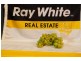 9 Wise Road, Springside NSW 2800