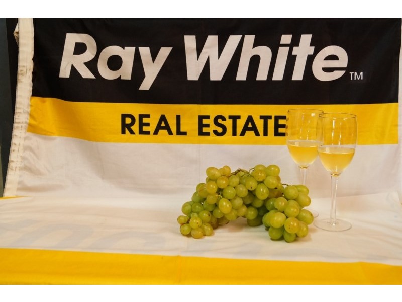 9 Wise Road, Springside NSW 2800