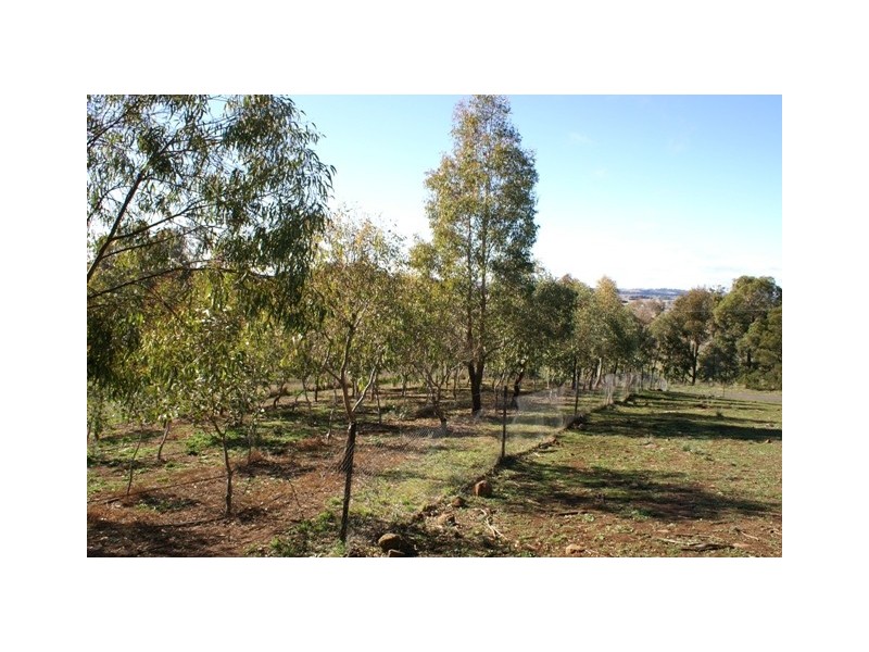 879 Forest Reefs Road, Forest Reefs NSW 2798