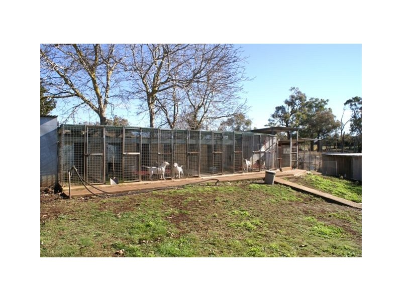 879 Forest Reefs Road, Forest Reefs NSW 2798