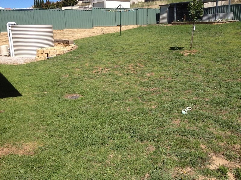 10 Quinlan Run, Orange NSW 2800