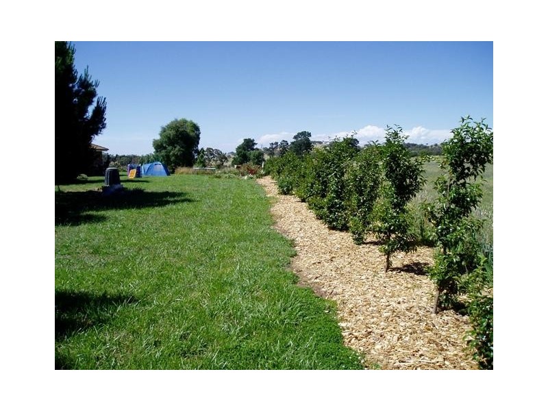 “Niela Millthorpe, Millthorpe NSW 2798