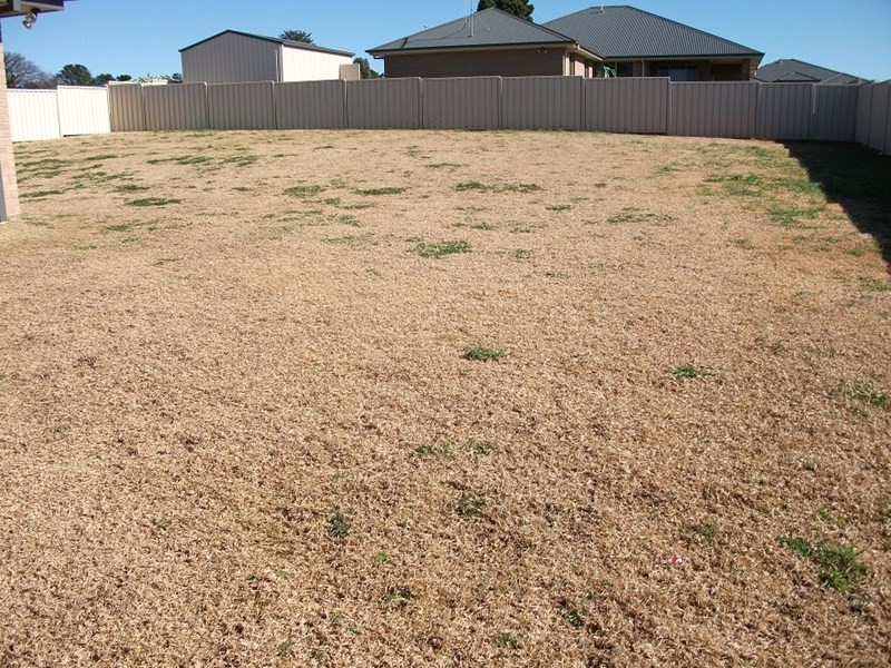 21 Diamond Drive, Orange NSW 2800