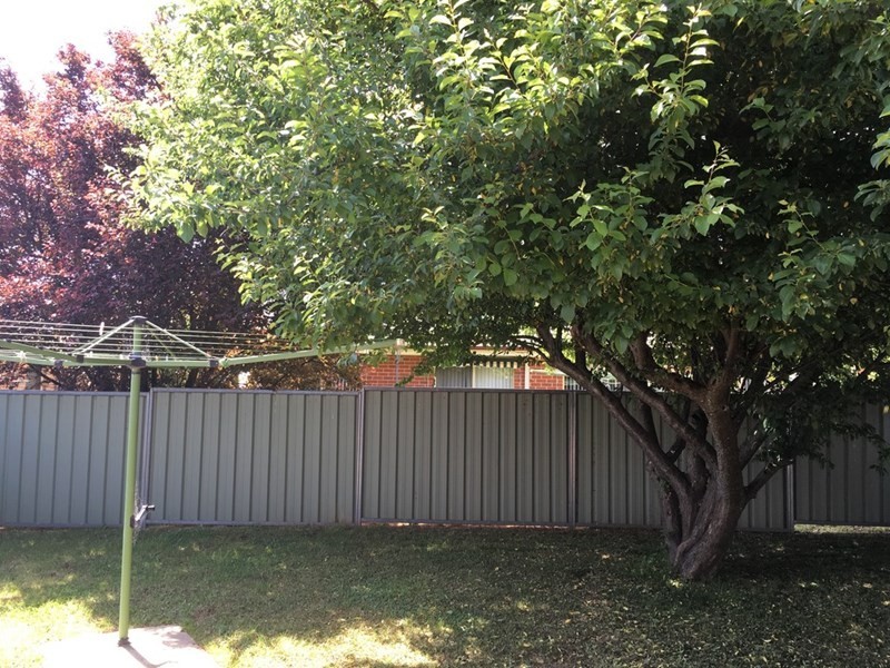 4/129 Sampson Street, Orange NSW 2800