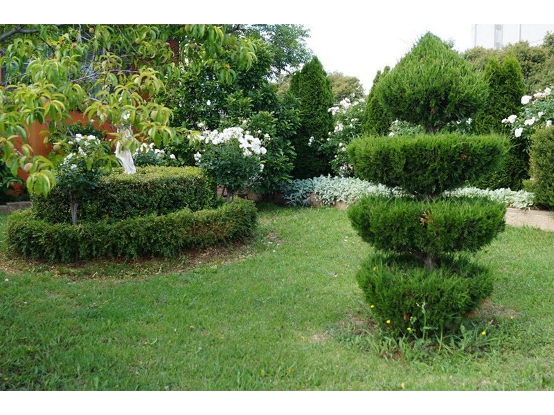 17 Whitney Place, Orange NSW 2800