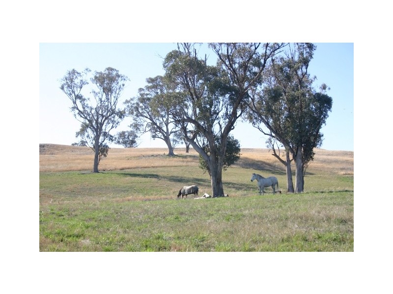 “Devanah” Mousehole Lane, Orange NSW 2800