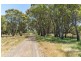 91 Radnedge Lane, Borenore NSW 2800