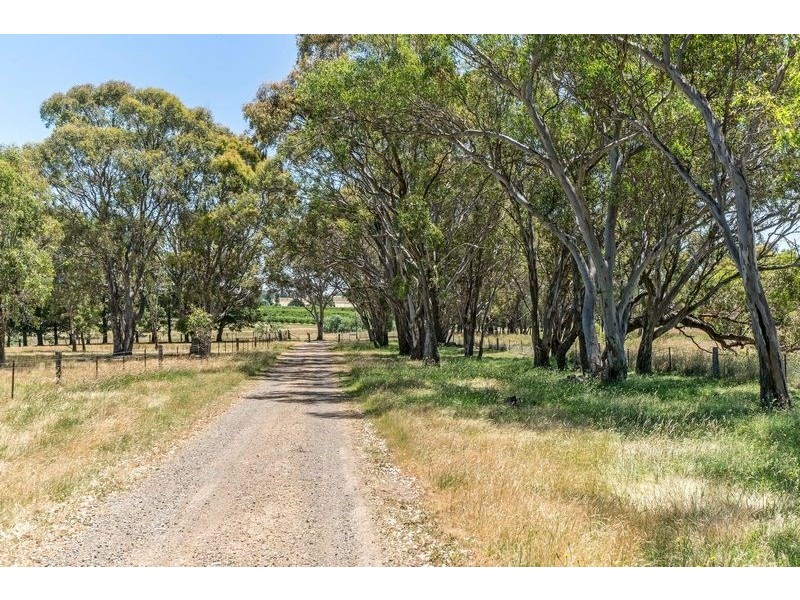91 Radnedge Lane, Borenore NSW 2800