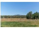 91 Radnedge Lane, Borenore NSW 2800