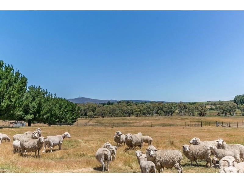 91 Radnedge Lane, Borenore NSW 2800