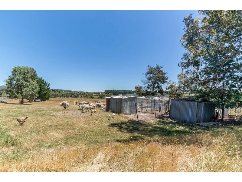 91 Radnedge Lane, Borenore NSW 2800