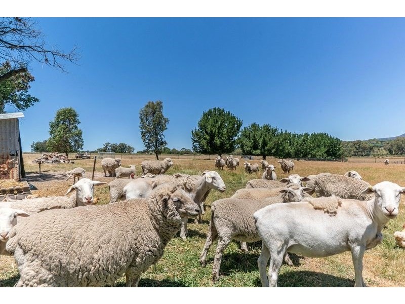 91 Radnedge Lane, Borenore NSW 2800