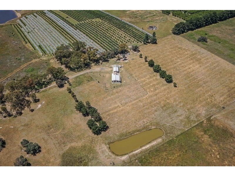 91 Radnedge Lane, Borenore NSW 2800