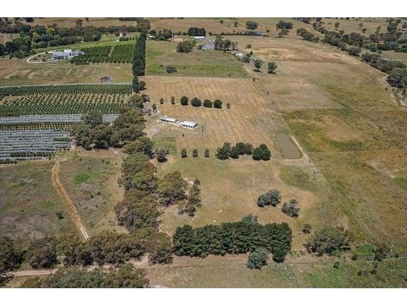 91 Radnedge Lane, Borenore NSW 2800