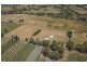 91 Radnedge Lane, Borenore NSW 2800
