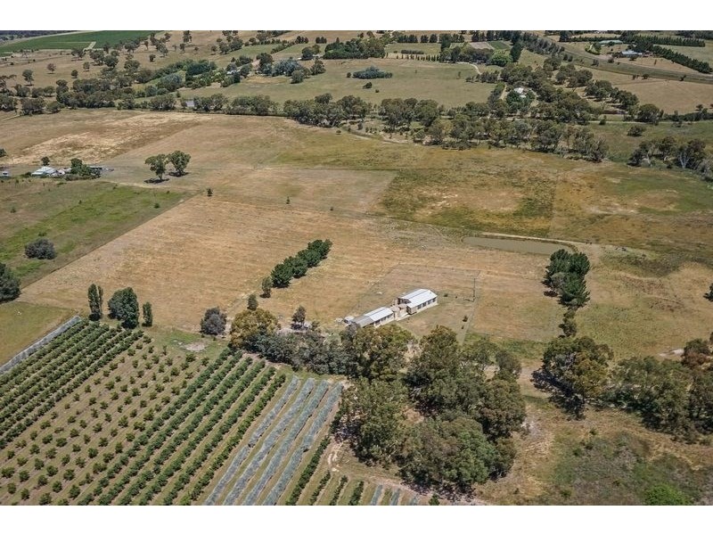 91 Radnedge Lane, Borenore NSW 2800