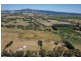 91 Radnedge Lane, Borenore NSW 2800