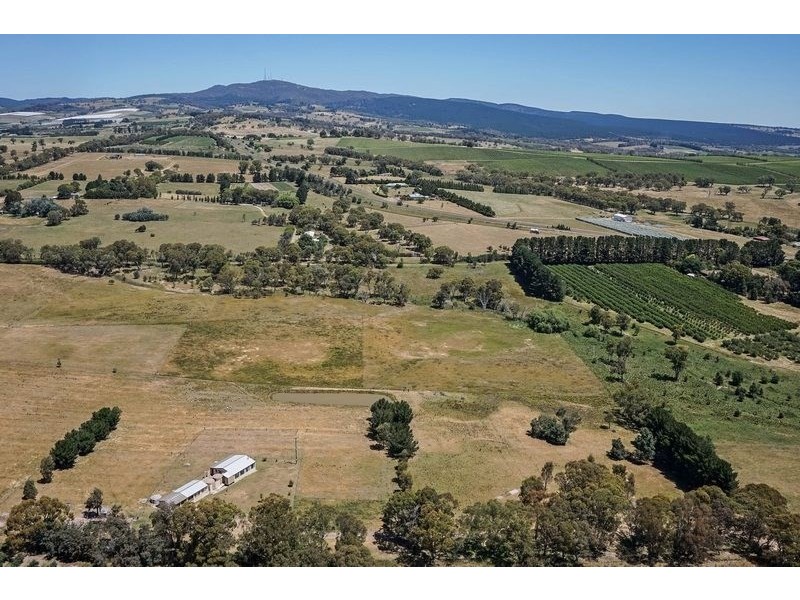 91 Radnedge Lane, Borenore NSW 2800