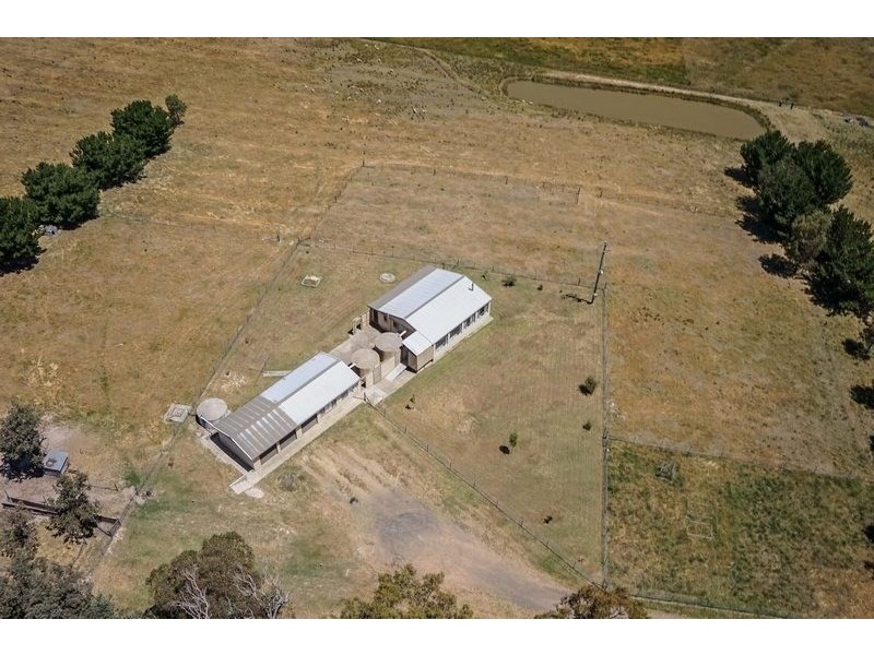 91 Radnedge Lane, Borenore NSW 2800