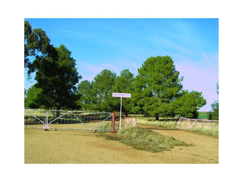 Worrongorrah Condobolin Road, Condobolin NSW 2877