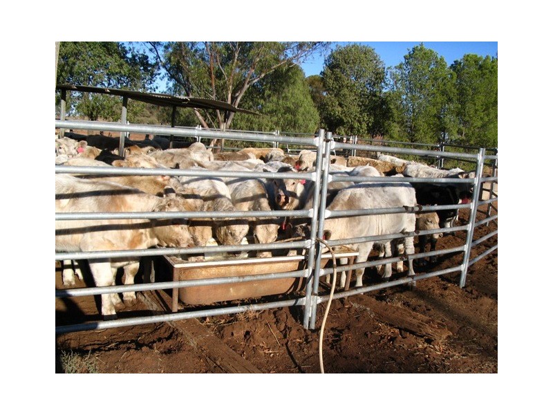 Worrongorrah Condobolin Road, Condobolin NSW 2877