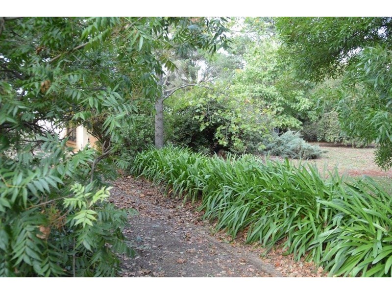 “Nirvana” 963 Pinnacle Road, Orange NSW 2800