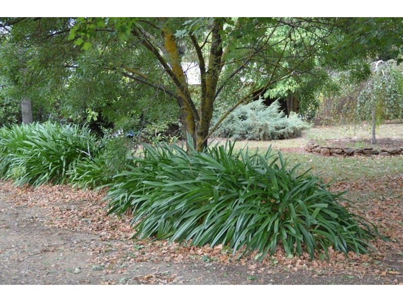 “Nirvana” 963 Pinnacle Road, Orange NSW 2800