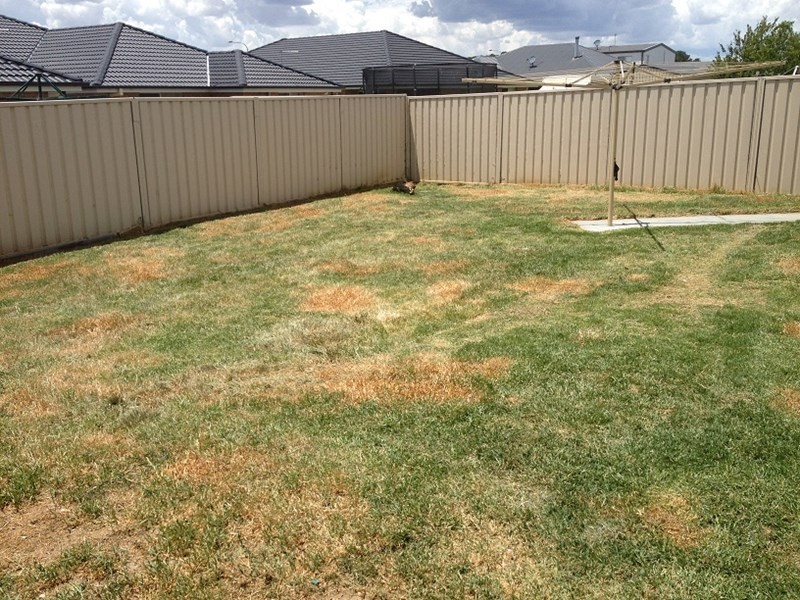 38 Emerald Street, Orange NSW 2800