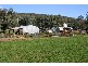 “Delmar” Lachlan Valley Way, Forbes NSW 2871