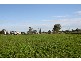 “Delmar” Lachlan Valley Way, Forbes NSW 2871
