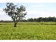 “Delmar” Lachlan Valley Way, Forbes NSW 2871