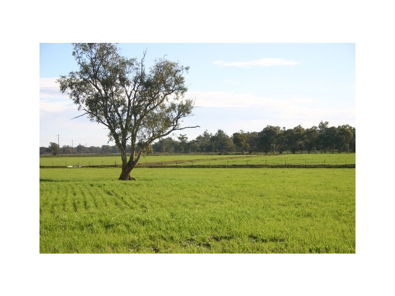 “Delmar” Lachlan Valley Way, Forbes NSW 2871